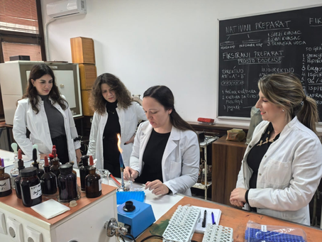 Innovation Hive: Mapping and Evaluating Oil-Based Waste in WP1 at the University of Belgrade