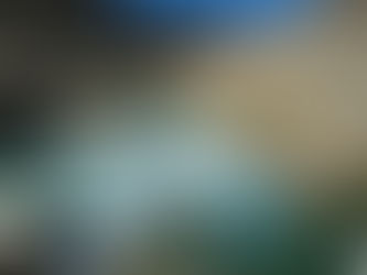 Packrafting the Hornaday's Lower Canyons: Whitewater and Wildlife in Tuktuk Nogait National Park