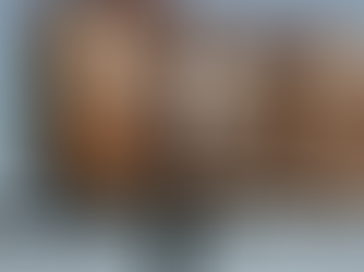 Officers oftentimes make up the rules instead of following standardized procedures