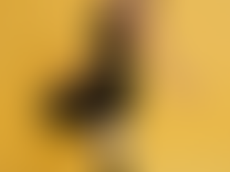 One-Leg Stand Errors and Officer Discretion in Ohio OVI Investigations