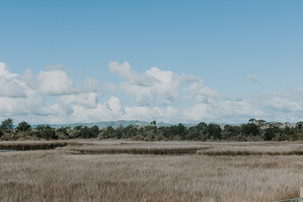 Estuary Events Pukehina Wedding & Event Venue