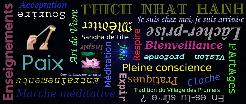 Méditation pleine conscience - Méditer à Lille Hauts-de-France