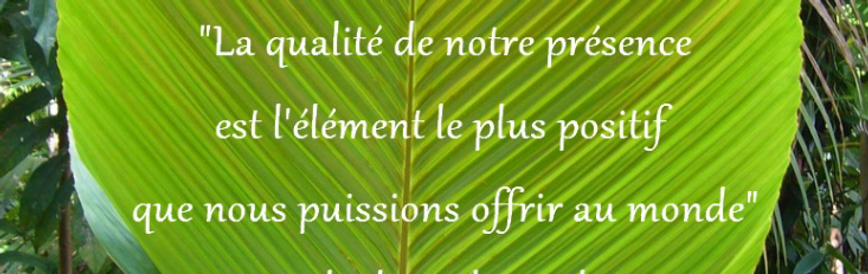 la qualité de notre présence bandeau.pn