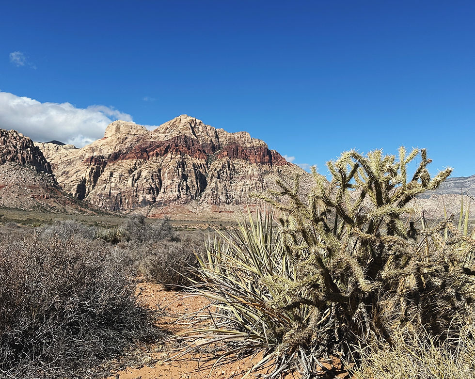 Bold, striped mountain at Red Rocks Canyon