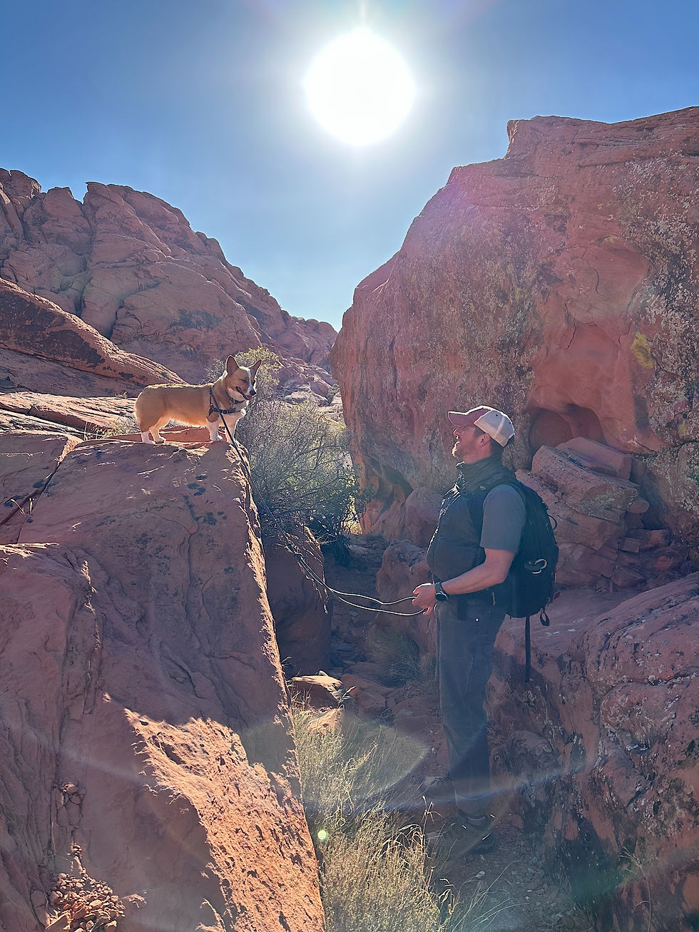 Hiking with our dogs at Red Rocks Canyon
