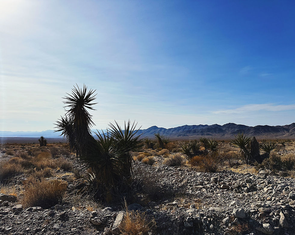 Mojave Desert