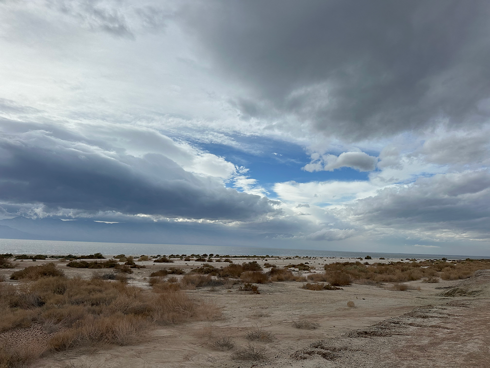 The shores of the Salton Sea