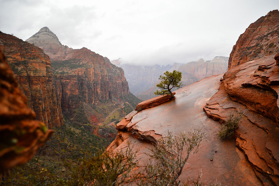 Zion National Park canyon overlook hike after a rainy day