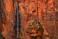 Waterfalls Zion National Park.jpg