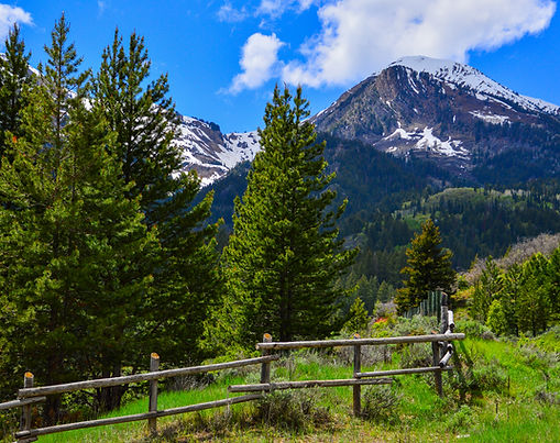 Mountain lake surrounded by pine forests and rugged canyon peaks at Tibble Fork Reservoir in American Fork Canyon, Utah