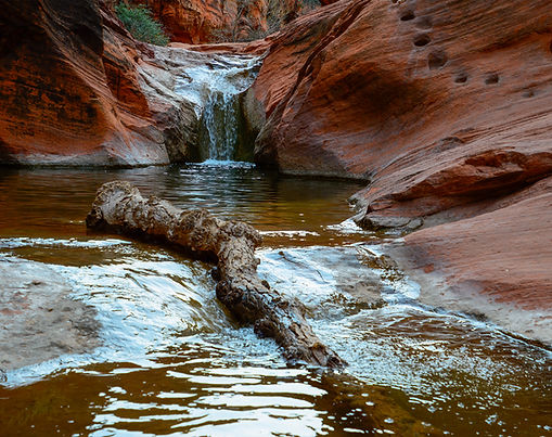 Red Cliffs Desert Reserve hiking photography featuring red sandstone canyon walls, seasonal desert streams, reflective pools, fallen wood, and flowing water weaving through rugged southern Utah desert terrain