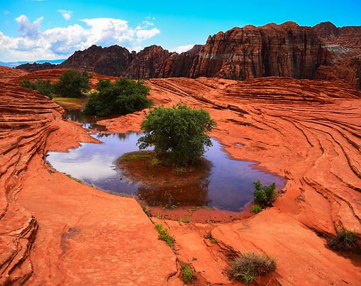 Collection of Snow Canyon State Park photography featuring red sandstone wave-like rock formations, volcanic basalt cliffs, desert roads, reflective water pools, trees growing from sandstone, and people exploring the canyon landscape in southern Utah