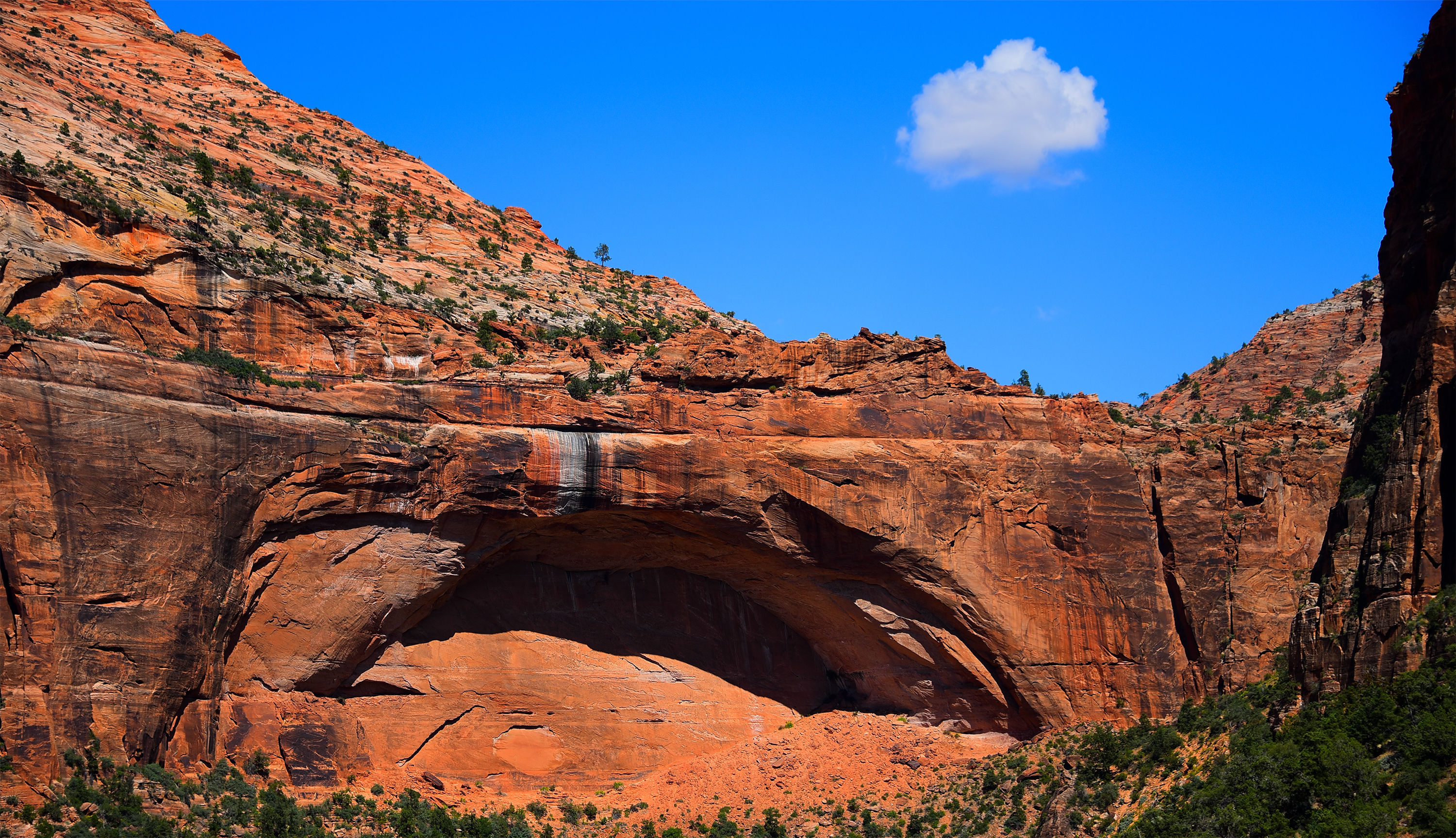 Looking up at a vibrant red sandstone arch in Zion National Park, Utah, with a single small white cloud floating above arch