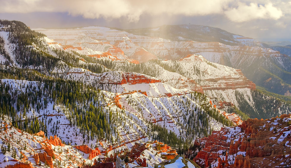 Winter landscape photography collection from Cedar Breaks National Monument featuring snow-covered red rock cliffs, alpine forests, hoodoos, wildlife, and dramatic winter storms in Southern Utah
