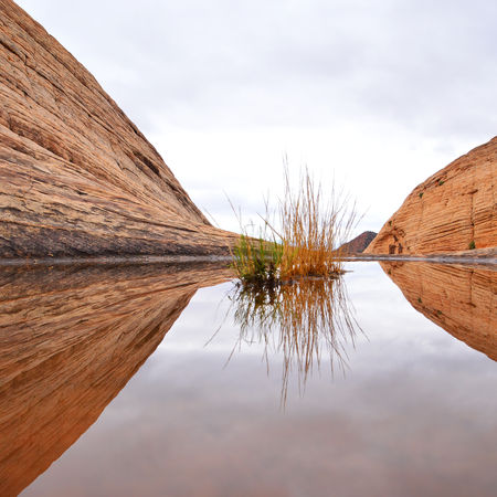 Smooth layered sandstone reflecting soft light at Yant Flat Candy Cliffs Southern Utah