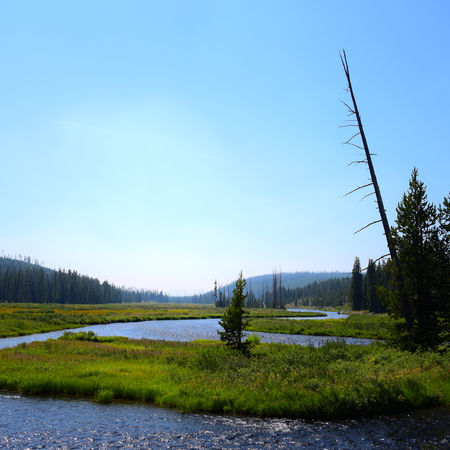 Wide scenic view of a river flowing through Yellowstone National Park wilderness