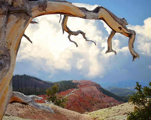 Summer landscape photography collection from Cedar Breaks National Monument featuring glowing sunsets, red rock hoodoos, sandstone formations, alpine forests, and scenic mountain overlooks in Southern Utah