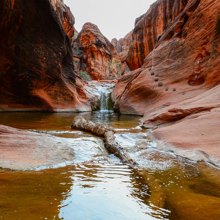 Shallow water pooling in rocky desert wash during Red Cliffs hike in southern Utah canyon