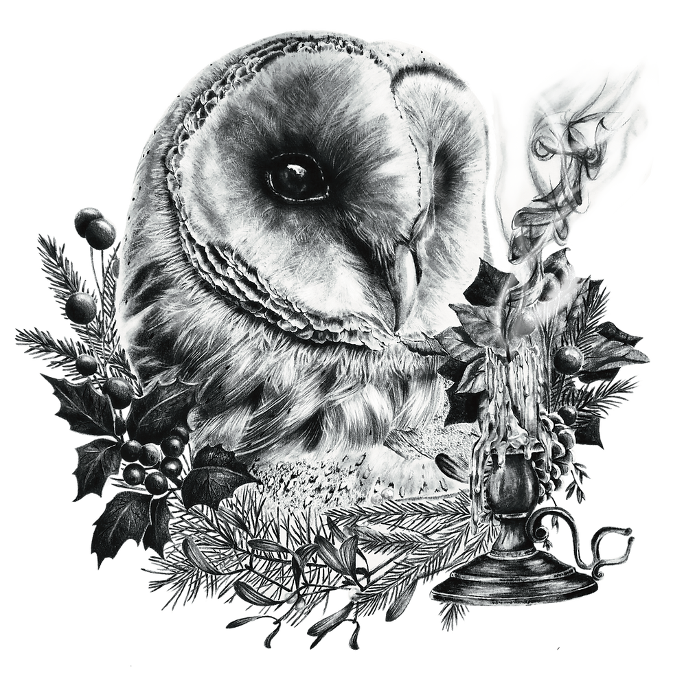 Nuit d'hiver tirage d'art