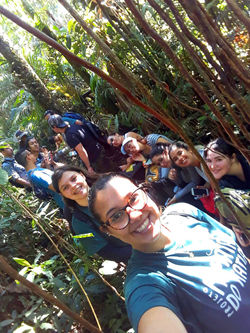 Curso Primatologia6