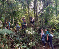 Curso Primatologia9