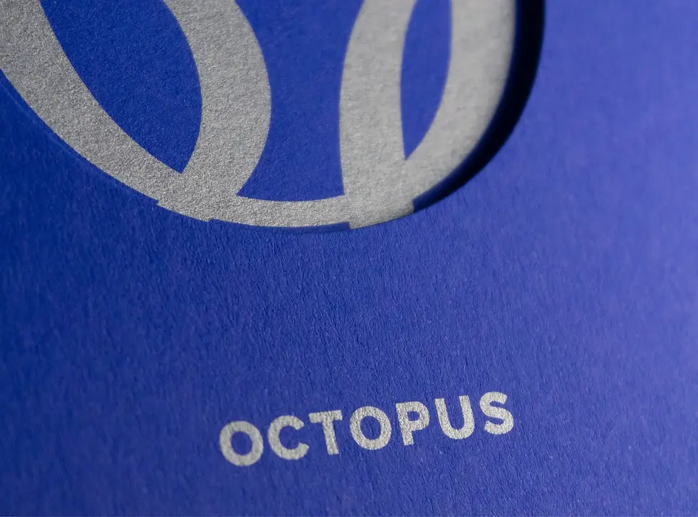 octopus-voeux-gallery-09.webp