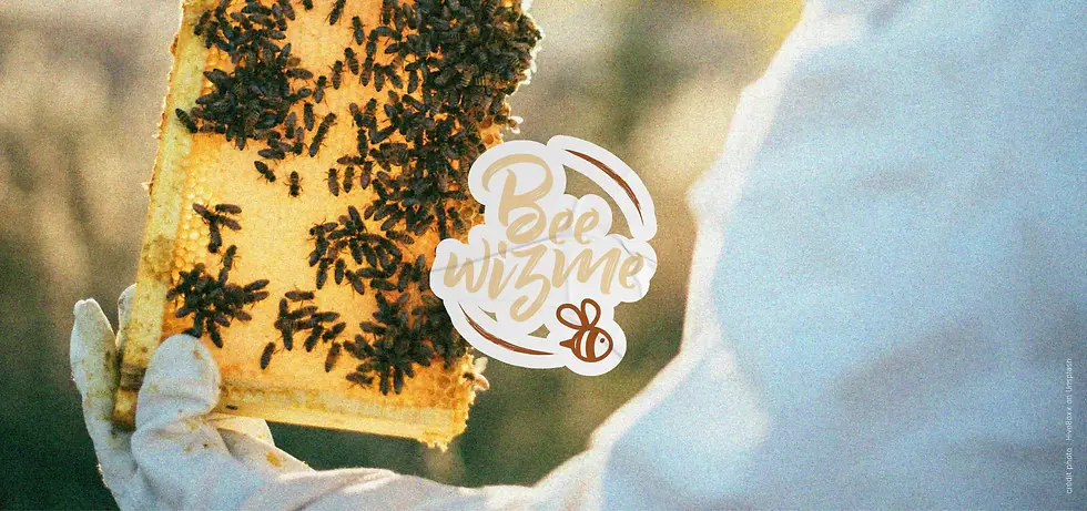 beewizme-branding-galllery-01.webp