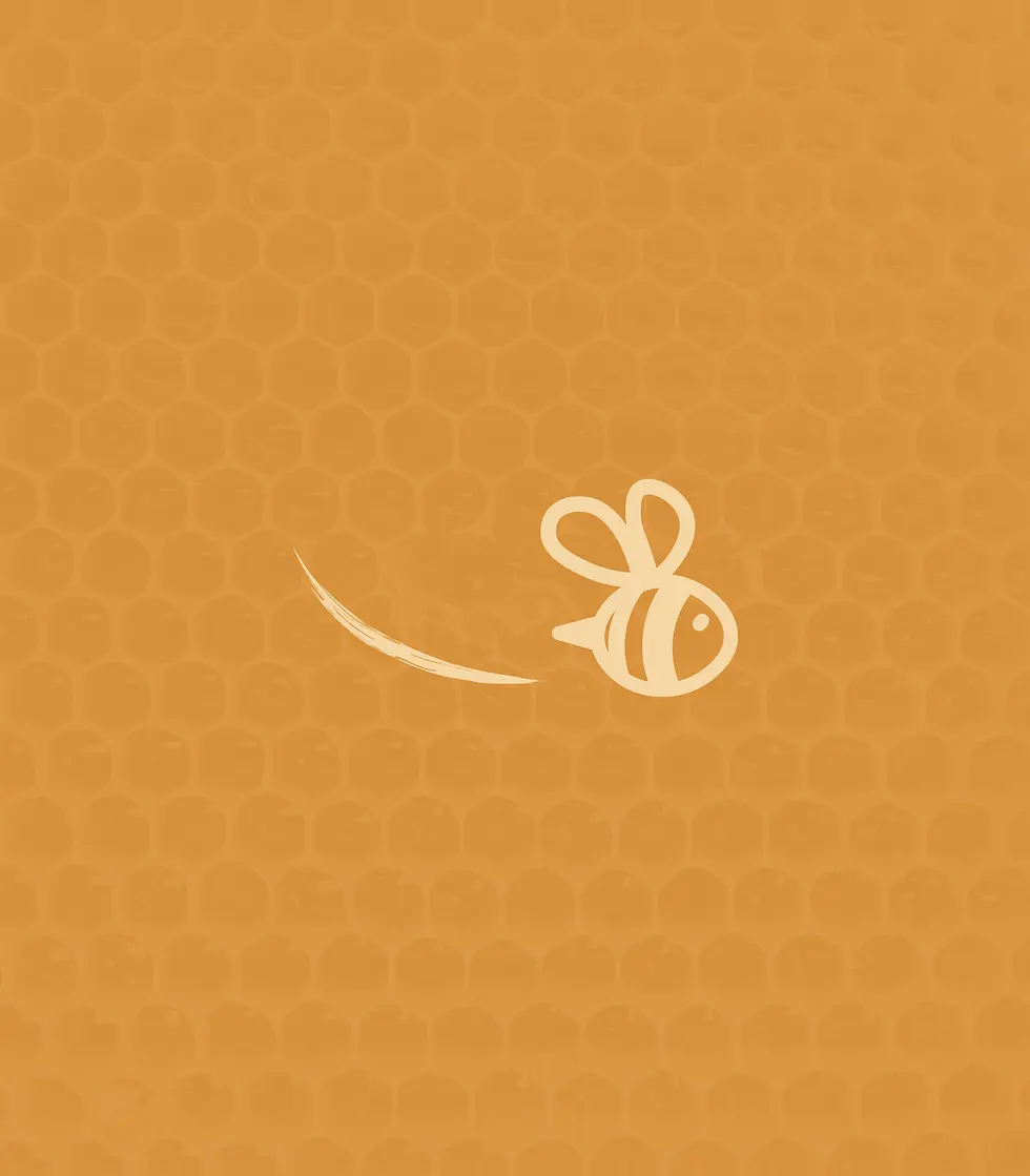 beewizme-branding-galllery-05.webp