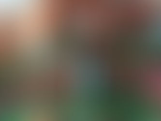 O tic-tac do relógio marca o início do horário mais agitado em qualquer escola ao redor do mundo: a hora do recreio! É um verdadeiro frenesi: crianças correndo, formando filas diante dos atendentes da cantina, trocando fofocas nos corredores, apressando-se para pegar a bola e participar dos jogos de air soccer.