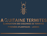Traitement termites