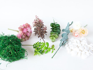 DIY Succulent Arrangement {kit 001}