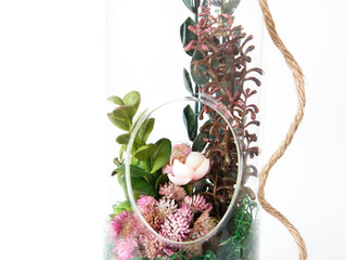 DIY Succulent Arrangement {kit 004}