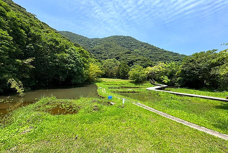 S__61784070_0_edited.jpg
