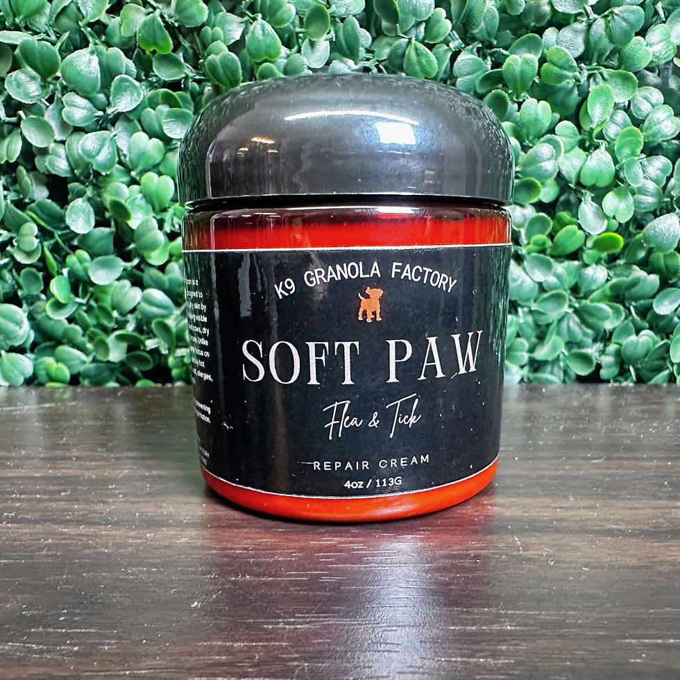 Repair Treatment for Dogs