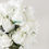 Küçük resim: Beyaz Tomurcuk Gül Gelin Buketi