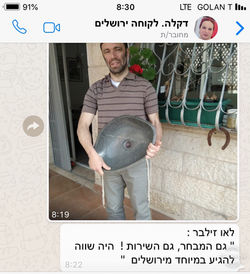 לקוחות שולחים לנו תמונות