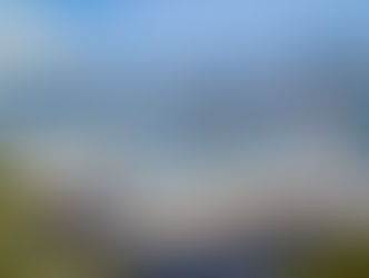 SUFFOLK, VA | #41522