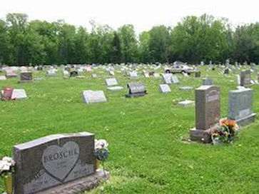 Rows of headstones in a green Cemetery, with trees in the background.