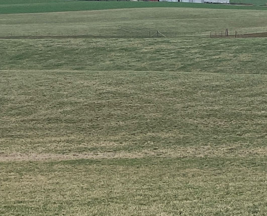 Green field with distant farm buildings and silos