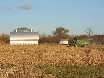 Farm equipment harvests crops with buildings and trees in the background.