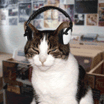 Podcast