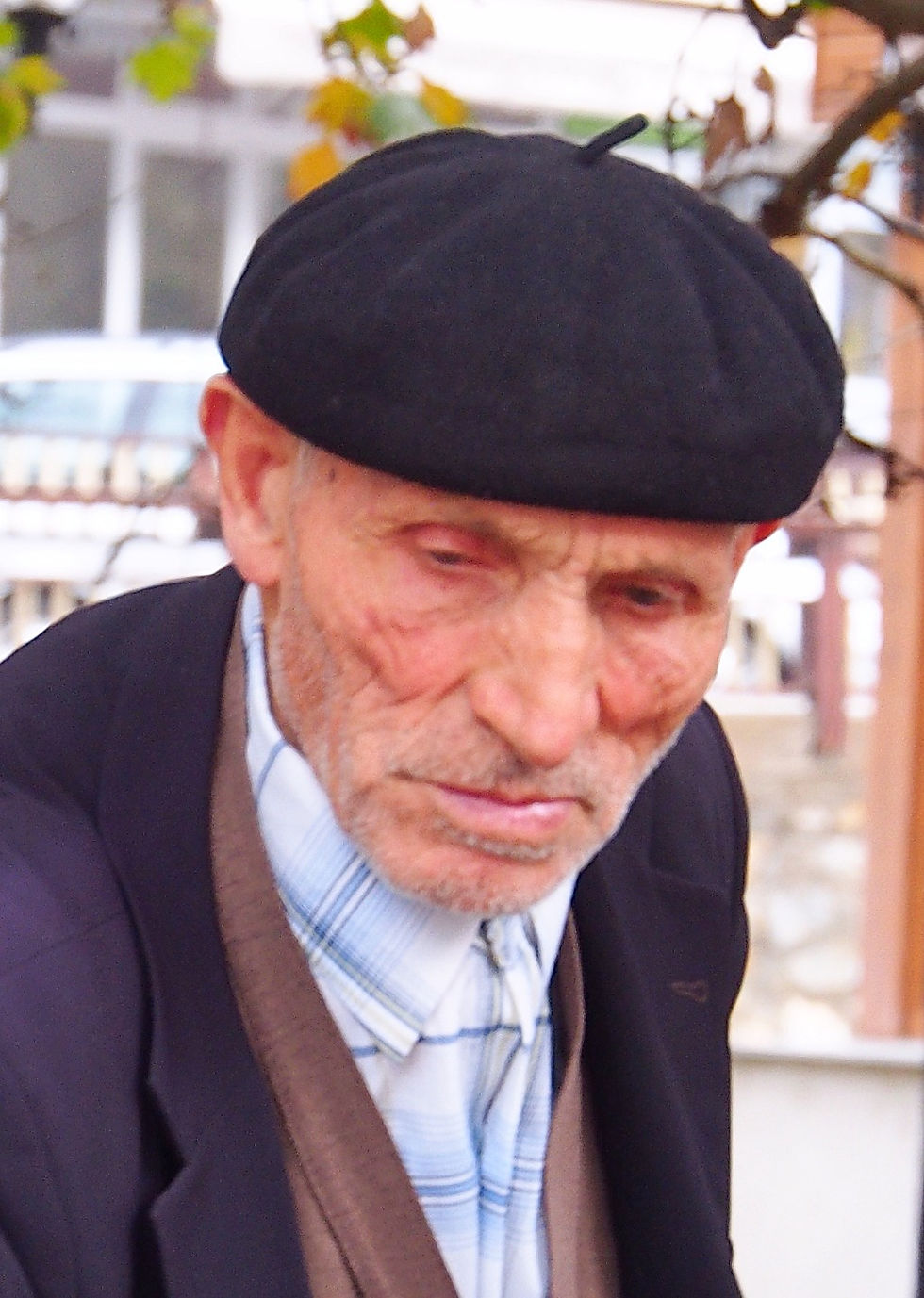 Kosovar Roasting Chesnuts