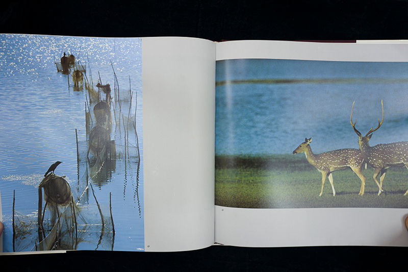 サムネイル： Sri Lanka by Page, Tim, Palmer, Nigel(70%new)