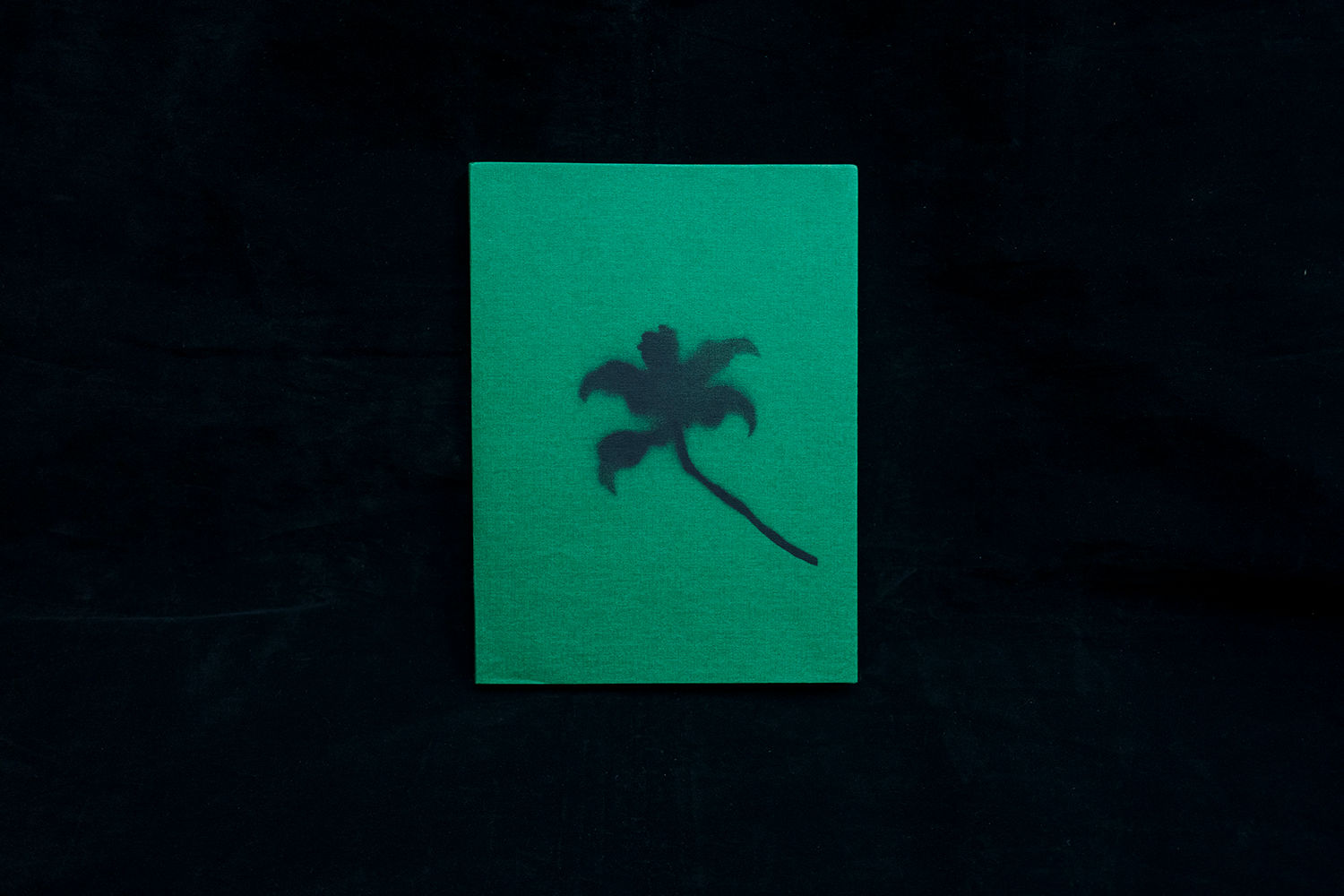 Hong Kong Garden香港花園/曾冠群Jimi Tsang