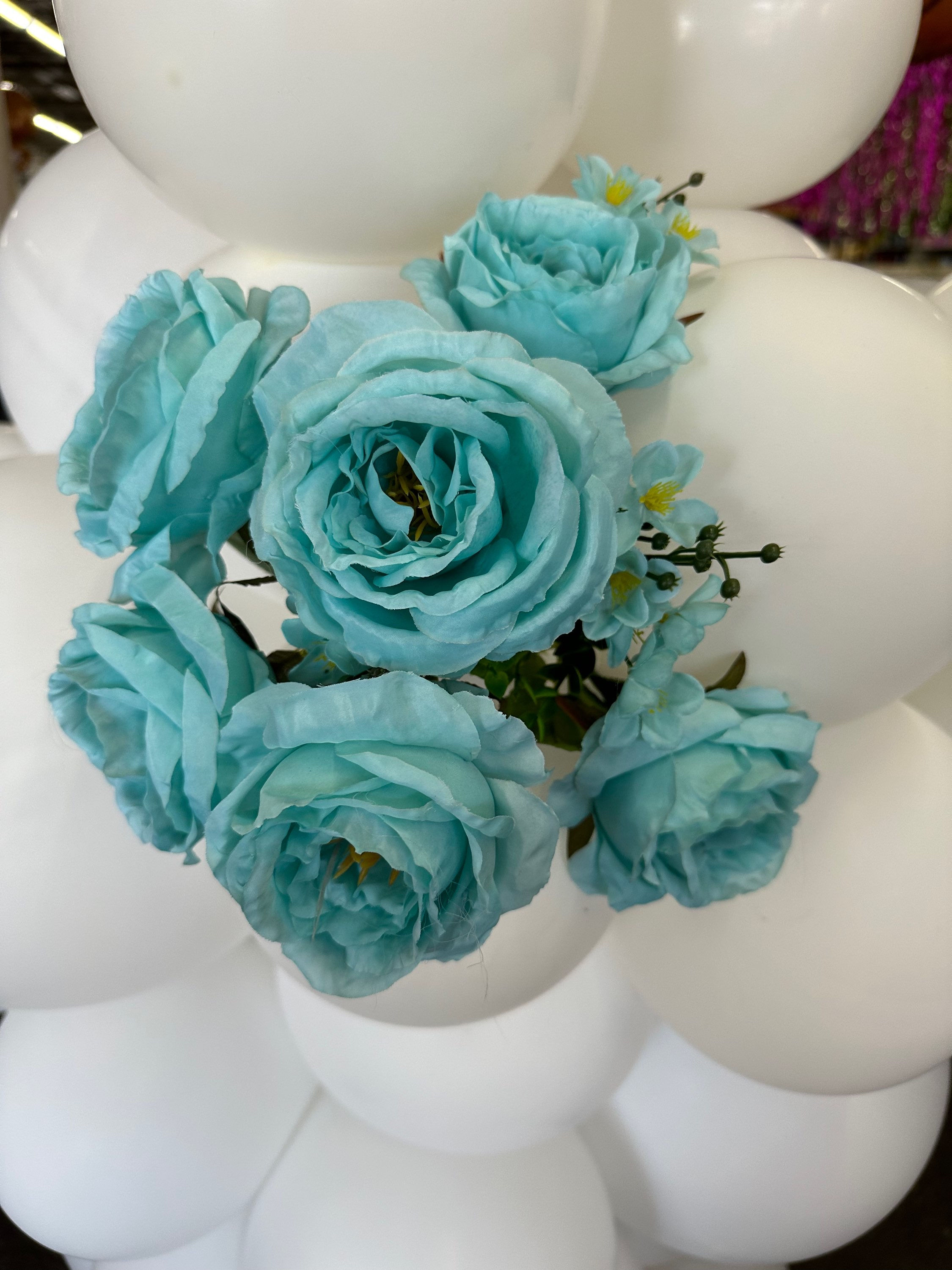 Tiffany blue 6 bloom flower bush 