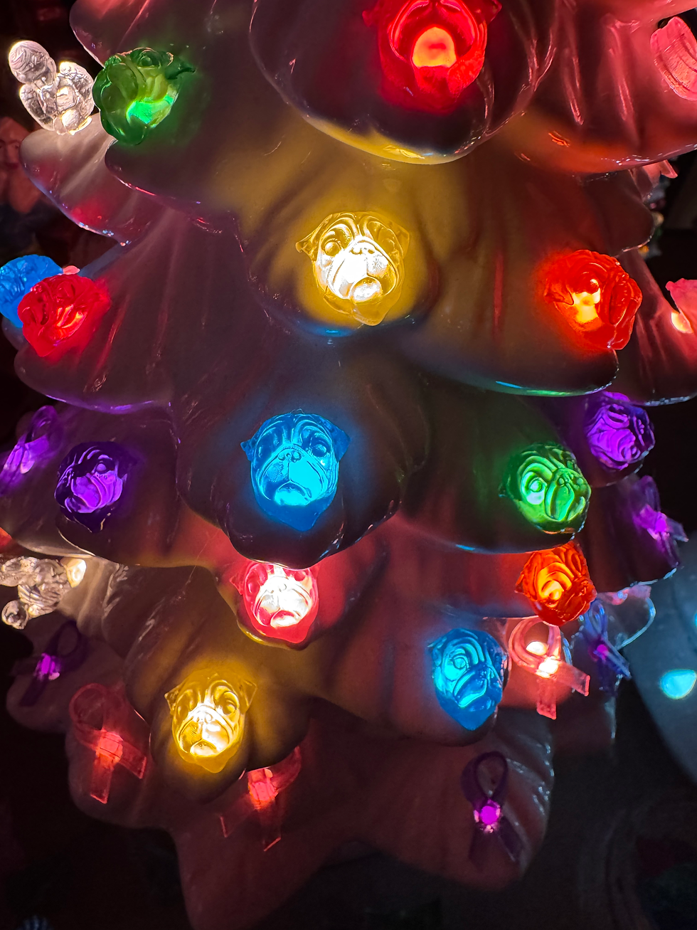 Thumbnail: Pugs