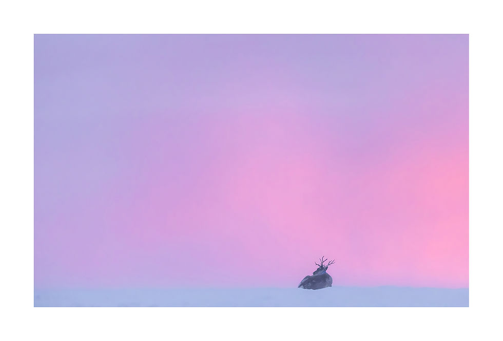 Thumbnail: Set of 5 postcards