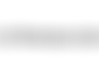 LOGOS IN THE NEWS: Helio Fred Garcia Quoted in The Washington Post