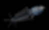 interstellar transport (1).jpg