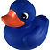blue rubber duck_edited.jpg
